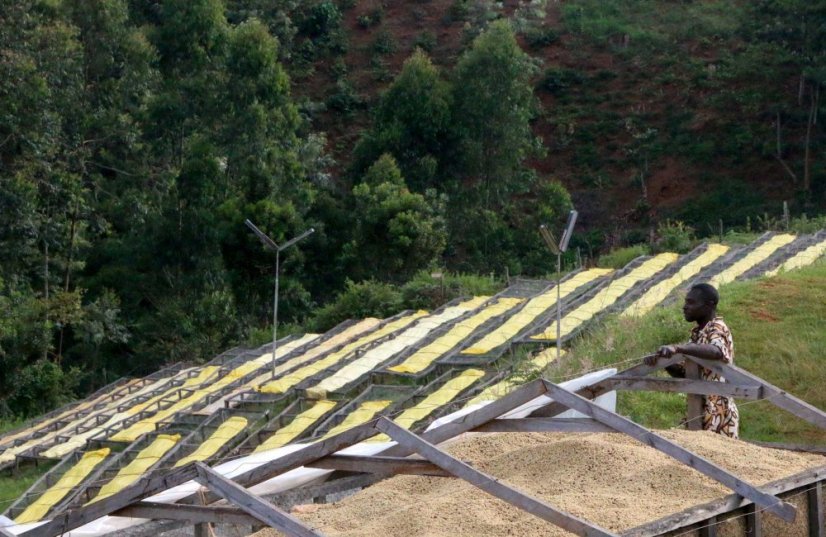 Kenya Kiangoi