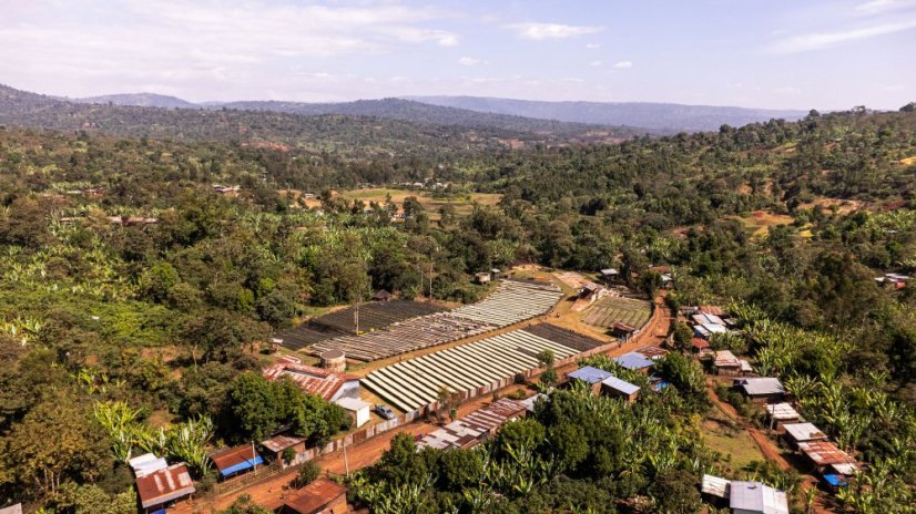 Ethiopia Bemen Halo Beriti - Roasting profile: Filter, Weight: 200g