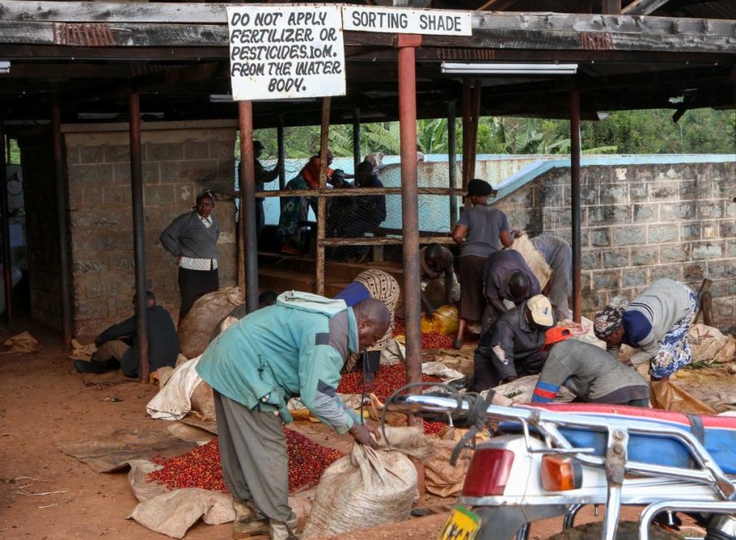 Kenya Kiangoi