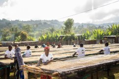 Ethiopia Bemen Halo Beriti