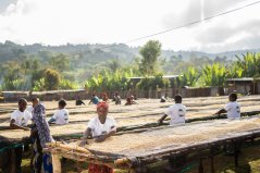 Ethiopia Bemen Halo Beriti